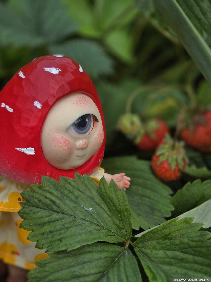 Робин 🍓🍄 — Азиатские виниловые куклы (разное): Китай (фото 5)