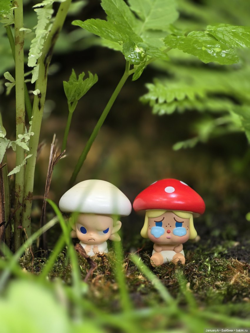 Робин 🍓🍄 — Азиатские виниловые куклы (разное): Китай