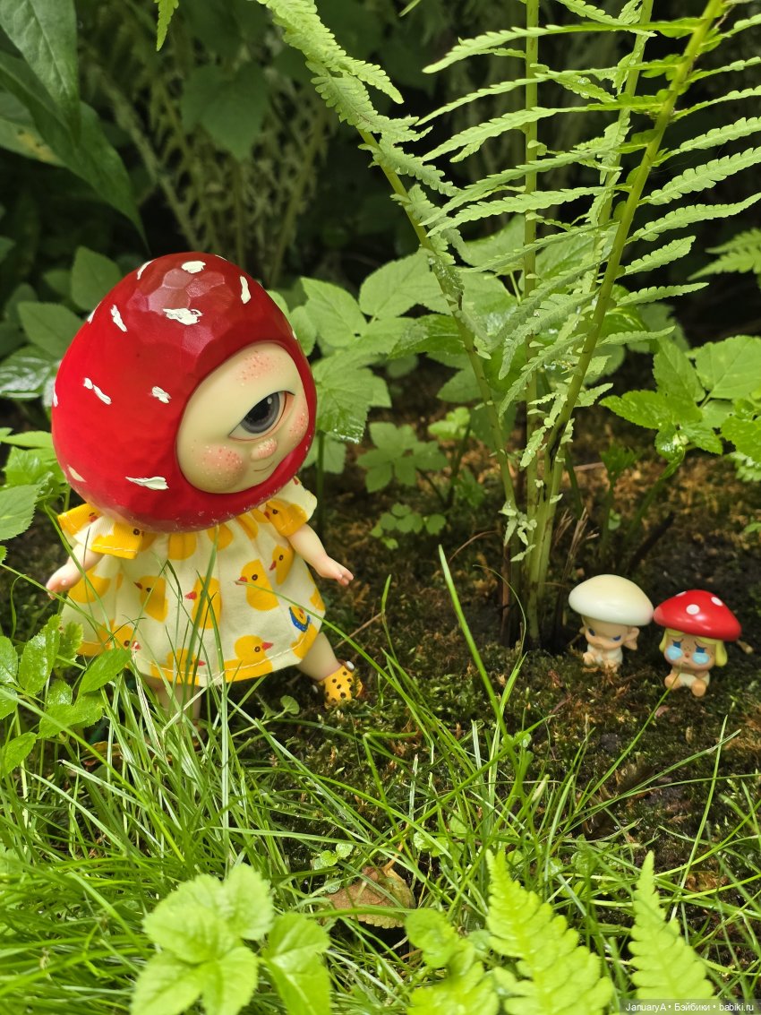 Робин 🍓🍄 — Азиатские виниловые куклы (разное): Китай