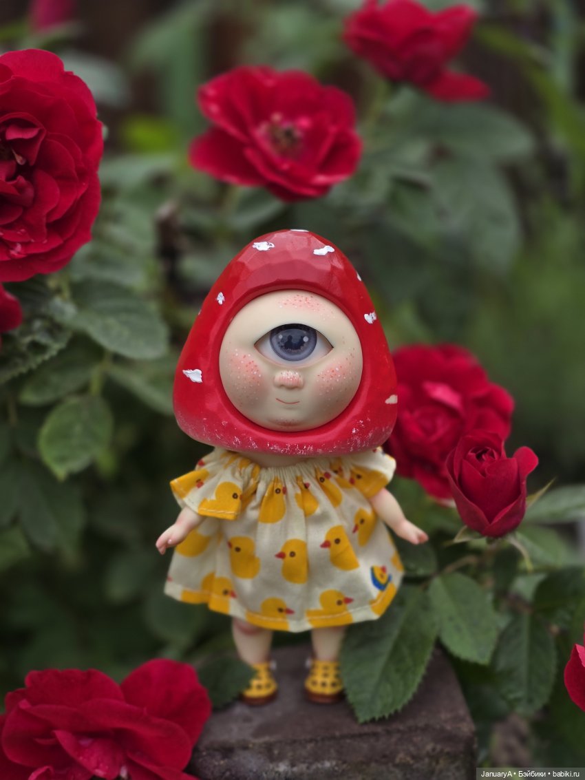 Робин 🍓🍄 — Азиатские виниловые куклы (разное): Китай