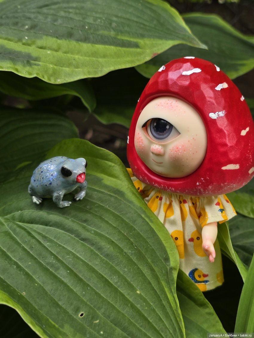 Робин 🍓🍄 — Азиатские виниловые куклы (разное): Китай