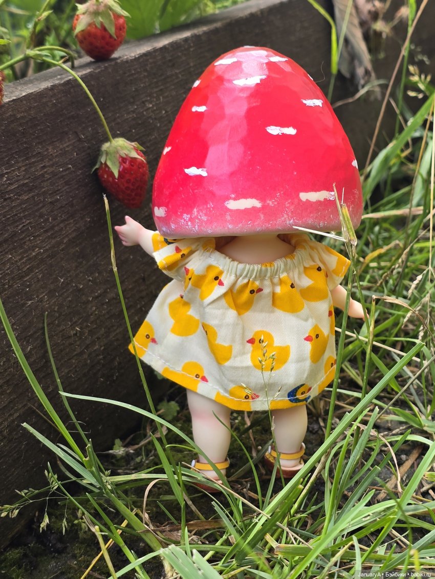 Робин 🍓🍄 — Азиатские виниловые куклы (разное): Китай (фото 6)