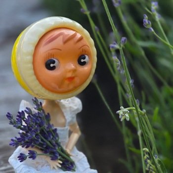 Машка и лаванда 🪻