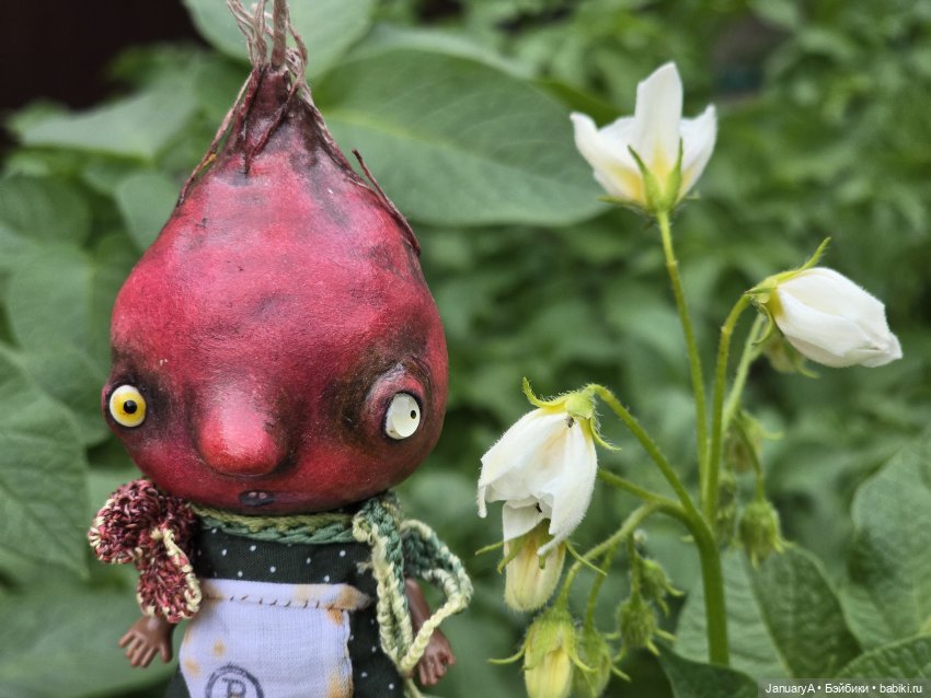 Директор урожая 🥔🥕🌽 — Домашние фото авторских игрушек: Тедди (фото 4)