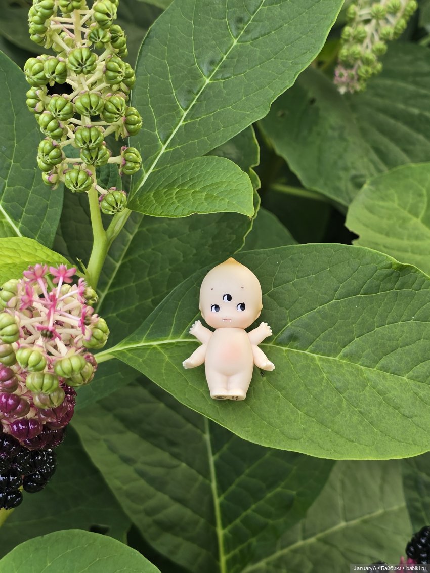 Крошка Kewpie от Abao — Коллекционные фигурки (разное): животные
