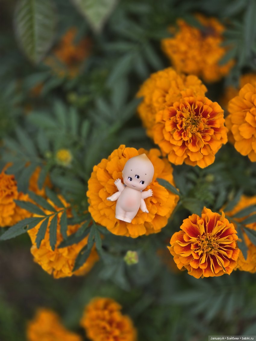 Крошка Kewpie от Abao — Коллекционные фигурки (разное): животные
