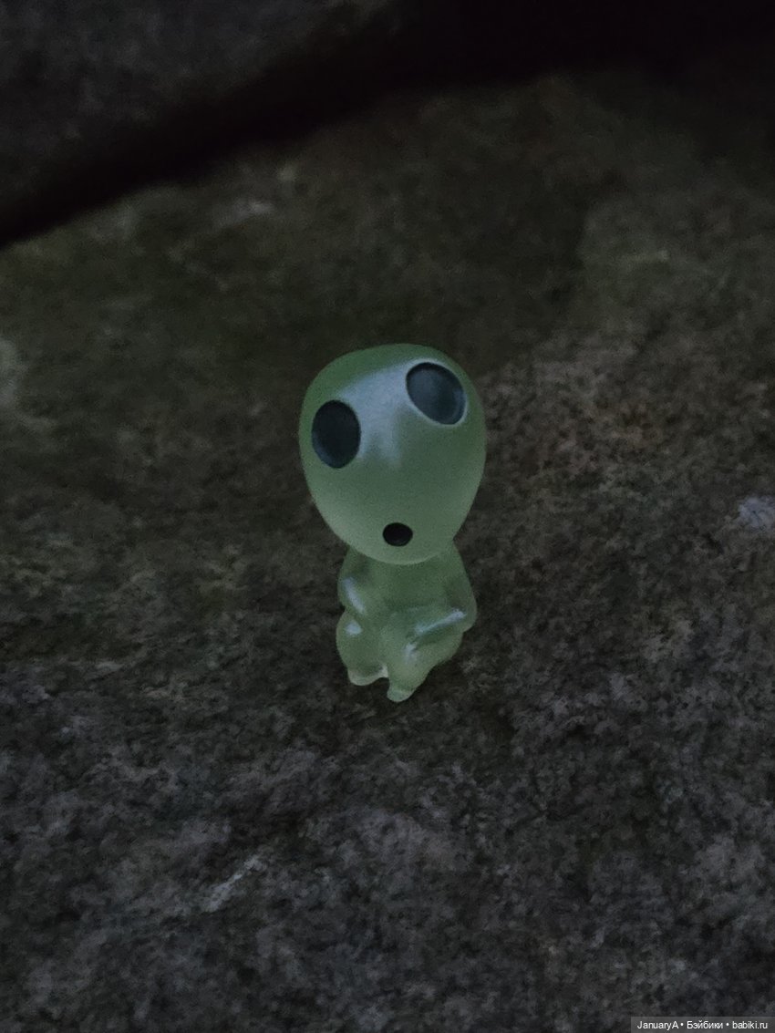 Medusasa Abao и светлячки 💡