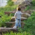 Алекс Kidz 'n' Cats в обновках пошел гулять по городу....