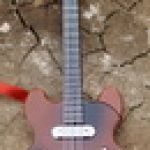 Теперь Майк из семейства Kidz 'n' Cats от Sonja Hartmann настоящий музыкант!