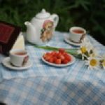 Жизнь кукол или подсмотренное чаепитие. Детки из семейства Kidz 'n' Cats от Sonja Hartmann