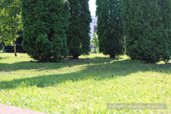 Моя обновленная Иззи, Kaye Wiggs