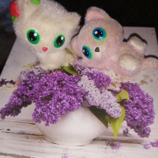 Коллекционные котята. Коллекционные котята.