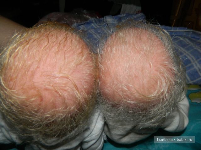 Миша и Маша