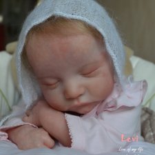 Леви - моя любовь