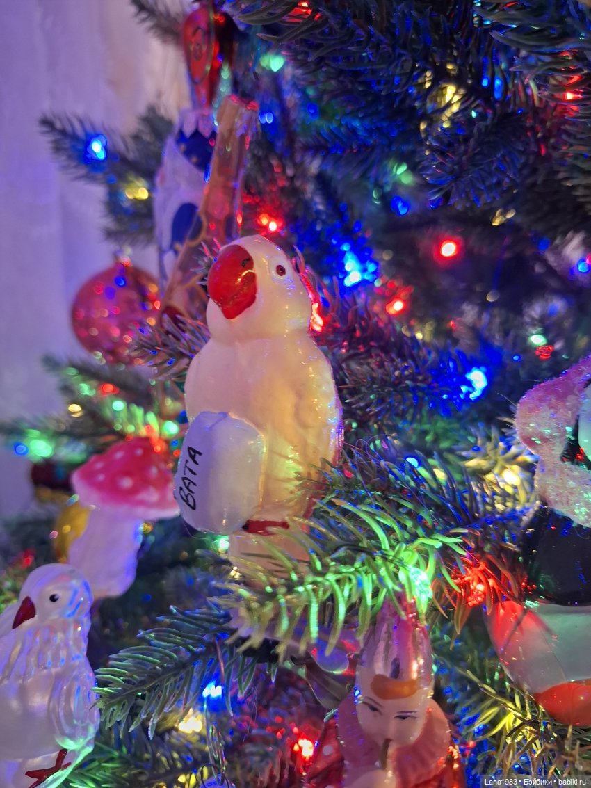 А на нашей ёлке, зелёные иголки