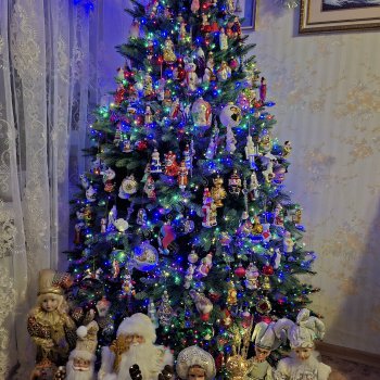 А на нашей ёлке, зелёные иголки!