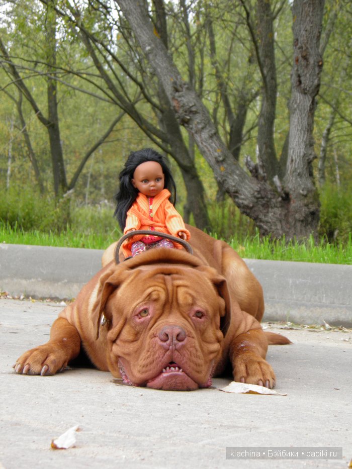 Разрешите представиться! Нора и Лиу от Паола Рейна | Бэйбики Разрешите представиться! Нора и Лиу от Паола Рейна (фото 7)