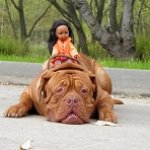 Разрешите представиться! Нора и Лиу от Паола Рейна