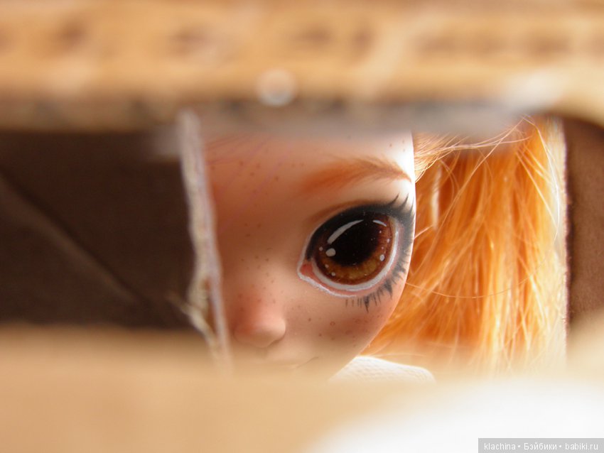 Первая встреча — Куклы Monster High и Ever After High: G1 (фото 3)