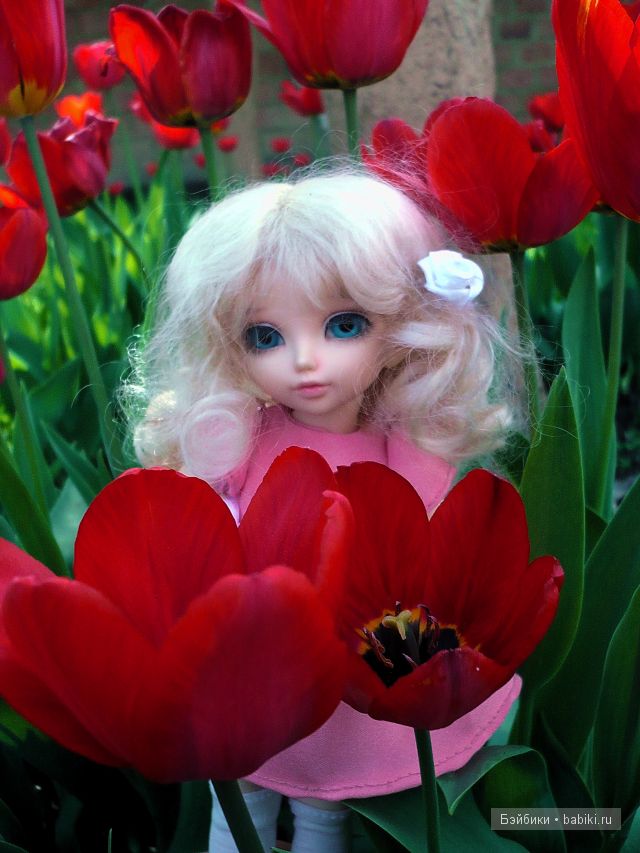 Как у нас в садочке расцвели цветочки (фото 3)