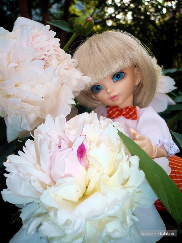 Как у нас в садочке расцвели цветочки (фото 4)