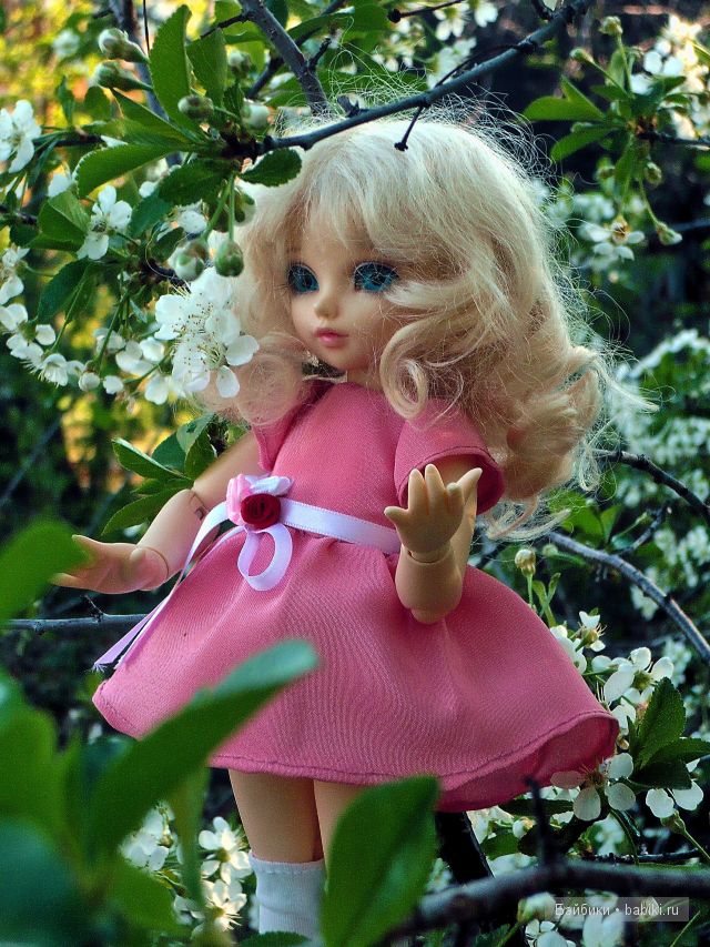 Как у нас в садочке расцвели цветочки