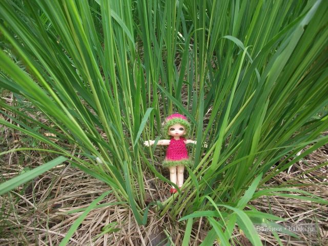 Как девочки провели свой отпуск в деревне | Бэйбики Как девочки провели свой отпуск в деревне