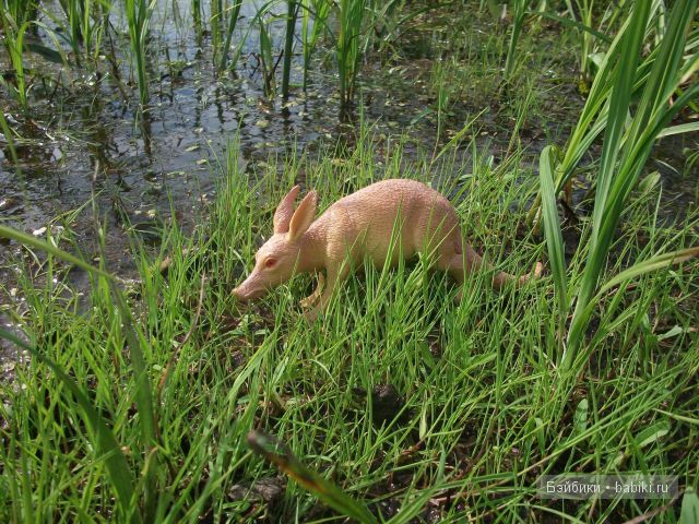 Как девочки провели свой отпуск в деревне | Бэйбики Как девочки провели свой отпуск в деревне