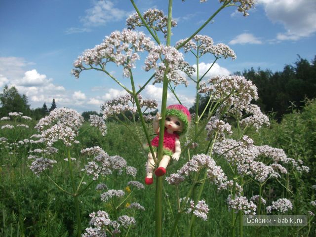 Как девочки провели свой отпуск в деревне | Бэйбики Как девочки провели свой отпуск в деревне (фото 5)
