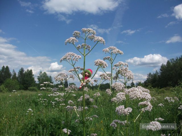 Как девочки провели свой отпуск в деревне | Бэйбики Как девочки провели свой отпуск в деревне (фото 6)