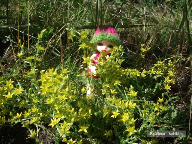 Как девочки провели свой отпуск в деревне | Бэйбики Как девочки провели свой отпуск в деревне (фото 3)