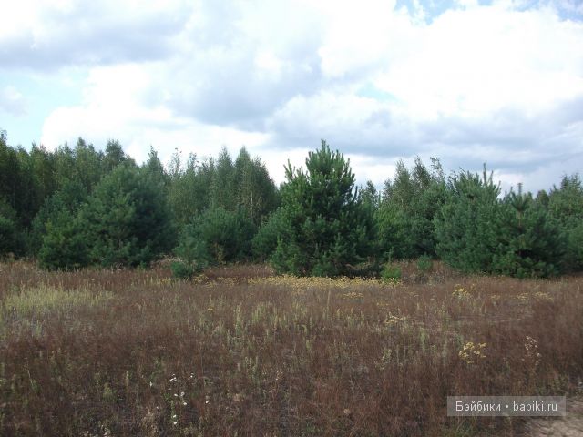 куклы и многое другое