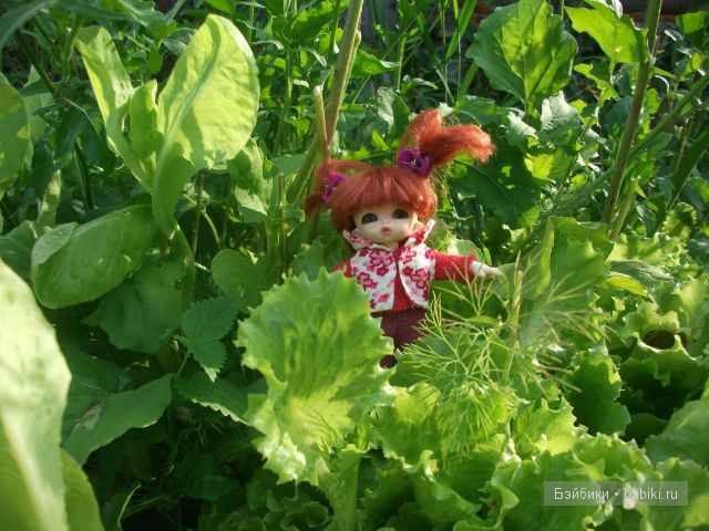 куклы и многое другое