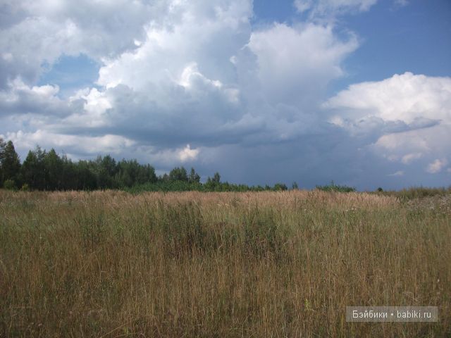 куклы и многое другое