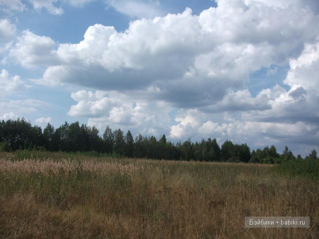 куклы и многое другое