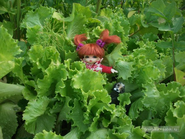 куклы и многое другое