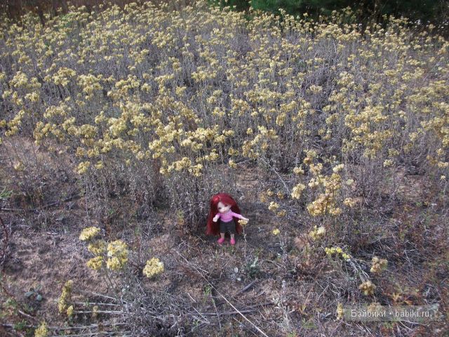 Как Манюня с Аленкой провели свой отдых в мещере | Бэйбики Как Манюня с Аленкой провели свой отдых в мещере (фото 9)