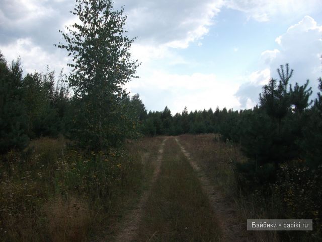 Как Манюня с Аленкой провели свой отдых в мещере | Бэйбики Как Манюня с Аленкой провели свой отдых в мещере