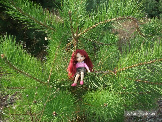 Как Манюня с Аленкой провели свой отдых в мещере | Бэйбики Как Манюня с Аленкой провели свой отдых в мещере (фото 5)