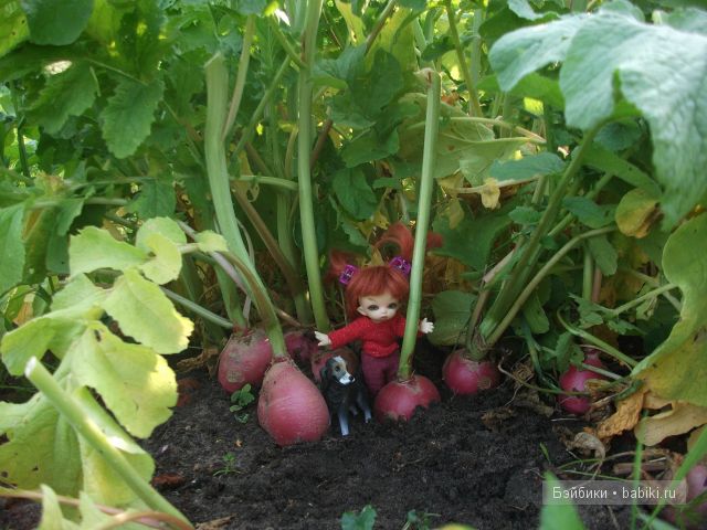 Как Манюня с Аленкой провели свой отдых в мещере | Бэйбики Как Манюня с Аленкой провели свой отдых в мещере