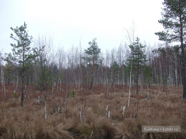 кукла кукла