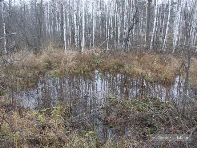 кукла кукла