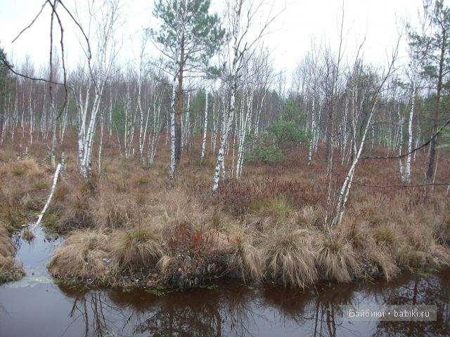 кукла кукла