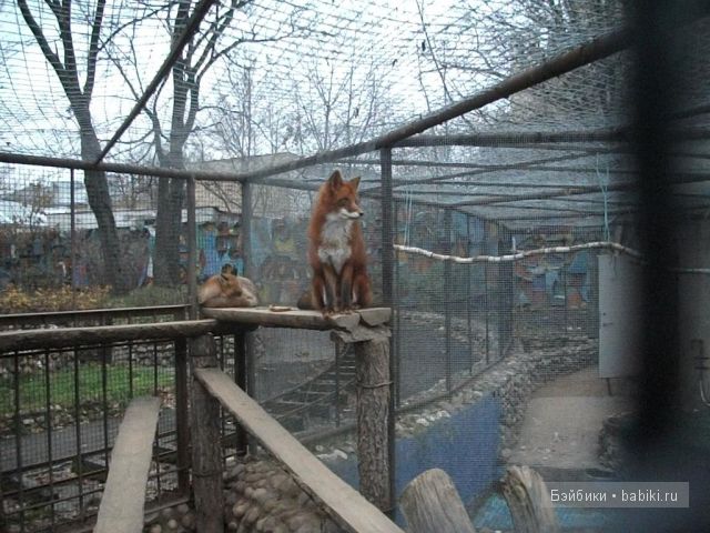 кукла кукла