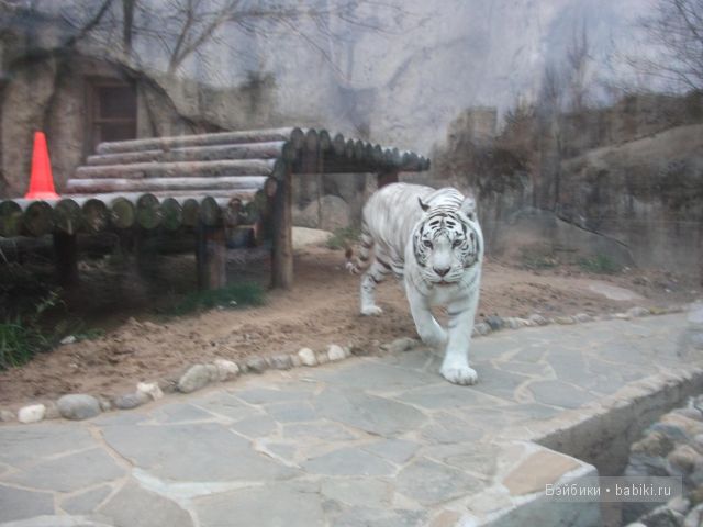 кукла кукла