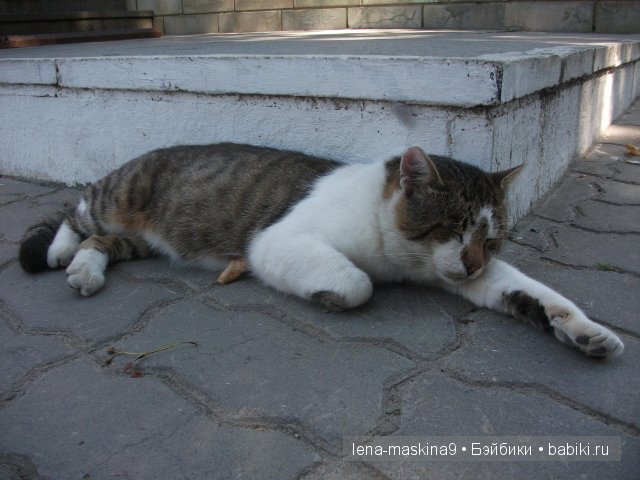 Оптина пустынь Оптина пустынь