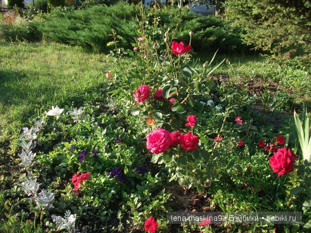 Оптина пустынь Оптина пустынь