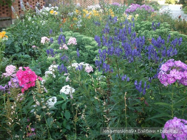 Оптина пустынь Оптина пустынь