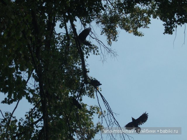Оптина пустынь Оптина пустынь