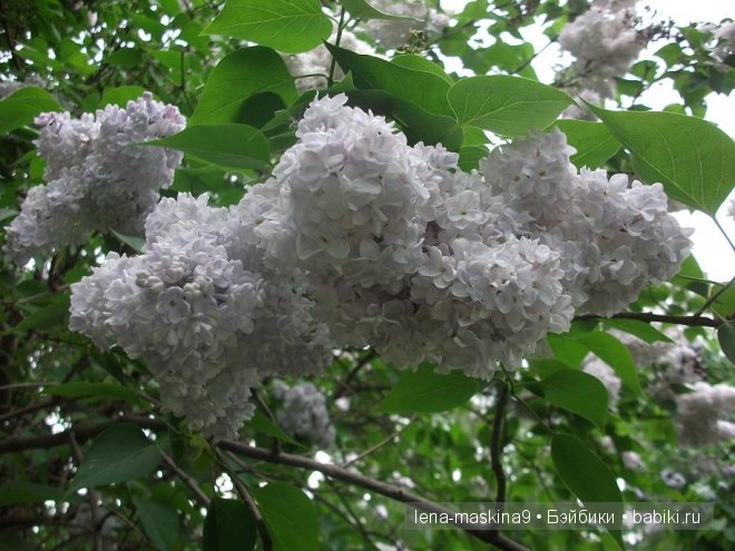 Кукла СССР Кукла СССР